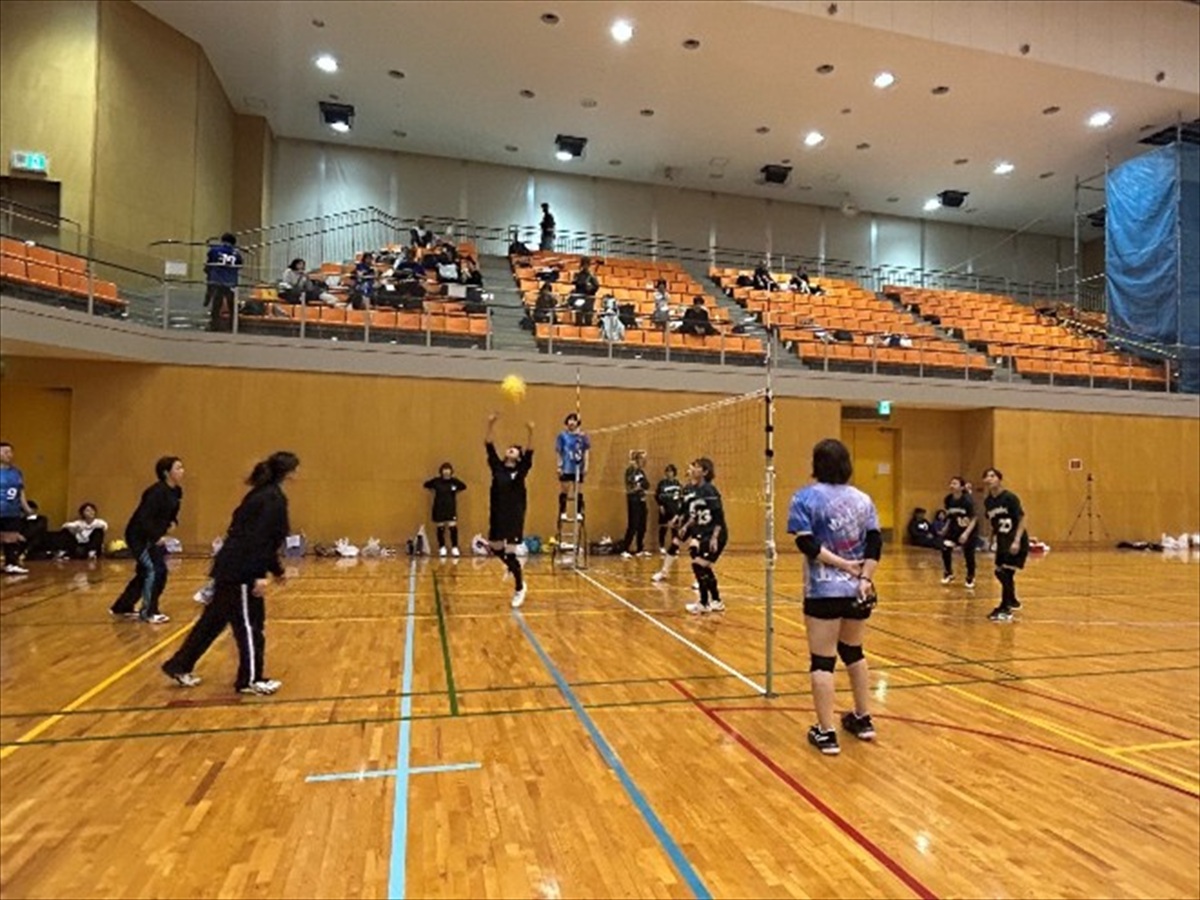 ソフトバレーボール